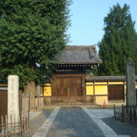 河越氏の菩提寺　養寿院